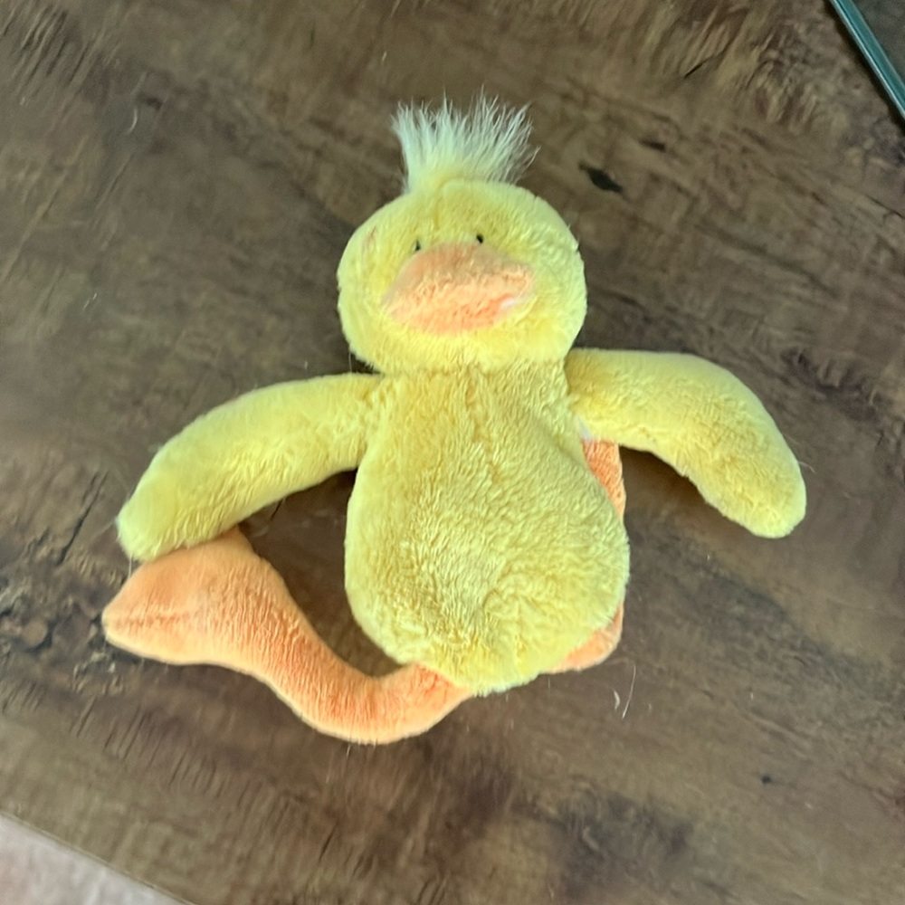 Duck